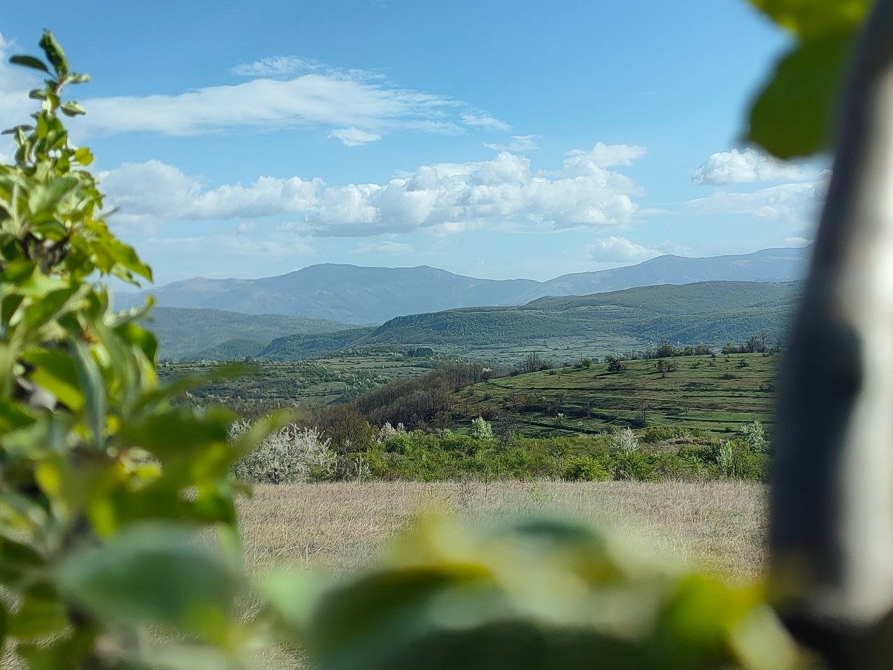 Hunting Lodge – photo 11