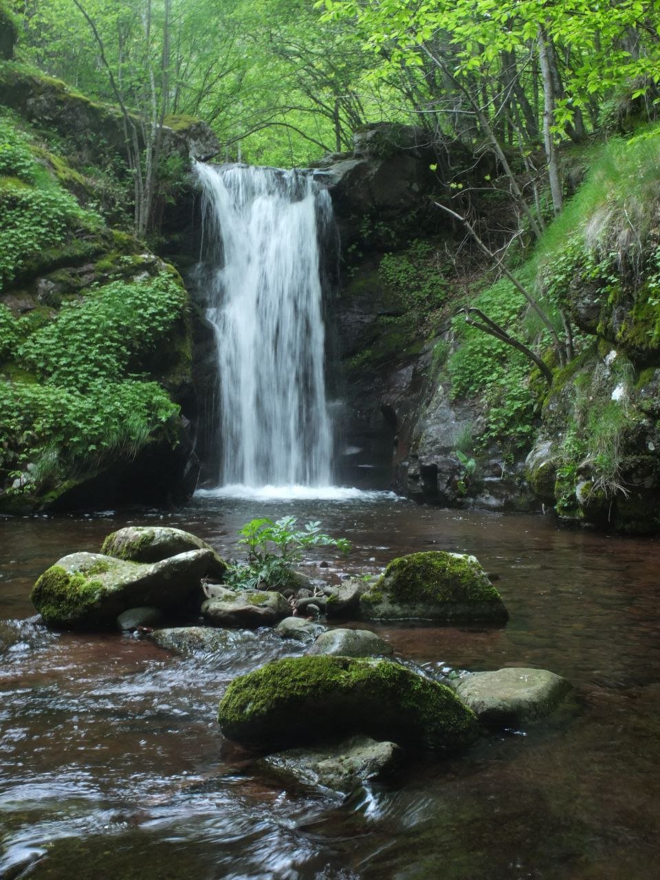 Hunting Lodge – photo 12